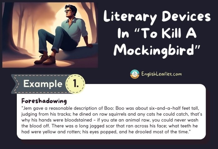 Literary devices of to kill a mockingbird