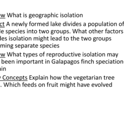 Mitosis meiosis chromosomes 2n aneuploidy nondisjunction diploid evolutionary gametes zygote gamete speciation resulting shown humans 2n6 offspring