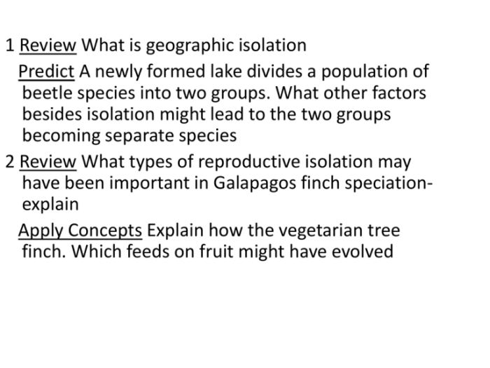 Mitosis meiosis chromosomes 2n aneuploidy nondisjunction diploid evolutionary gametes zygote gamete speciation resulting shown humans 2n6 offspring