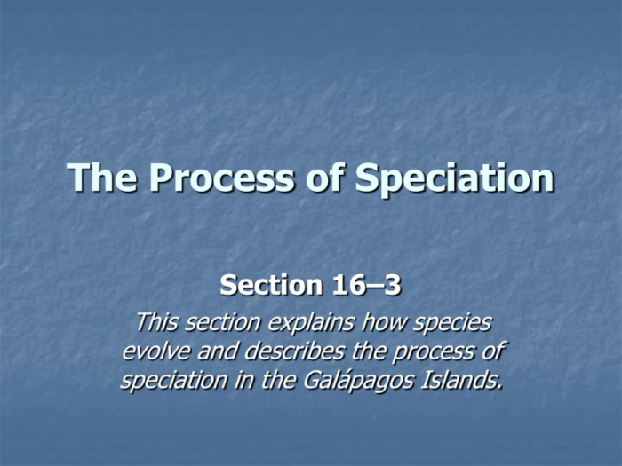 Section 16-3 the process of speciation