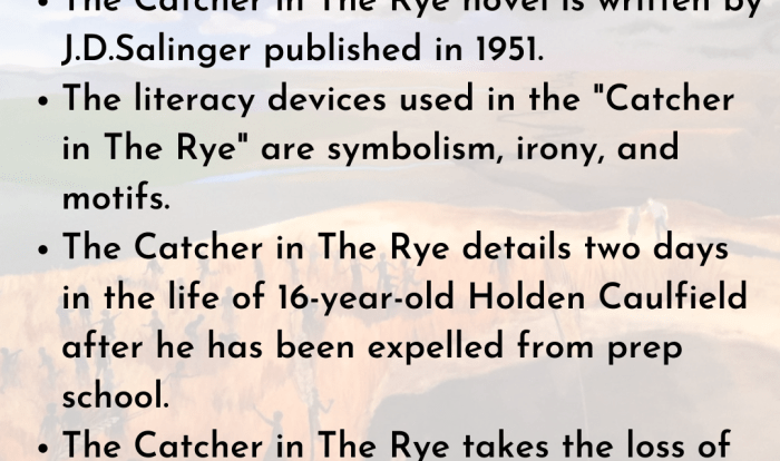 Figurative language in the catcher in the rye