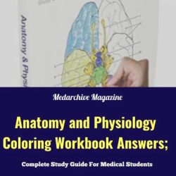 Anatomy and physiology coloring workbook answers key